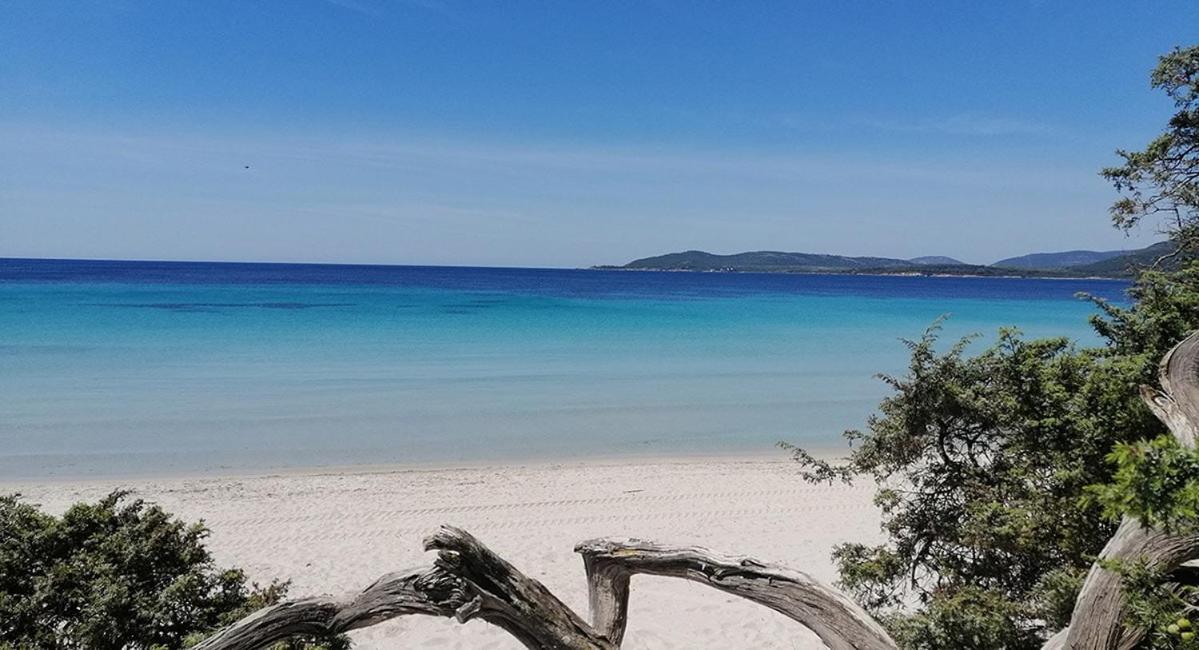 Il Grecale Appartamento Alghero